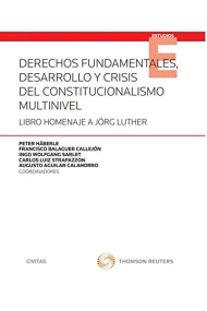 Cubierta de Derechos fundamentales, desarrollo y crisis del constitucionalismo multinivel