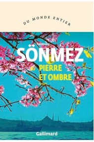 Coberta de La pierre et l'ombre