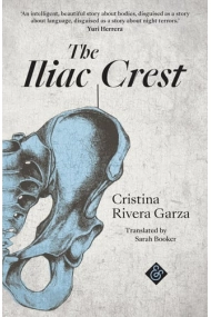 Coberta de Iliac Crest