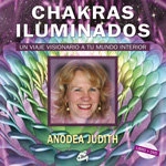 Cubierta de CHAKRAS ILUMINADOS