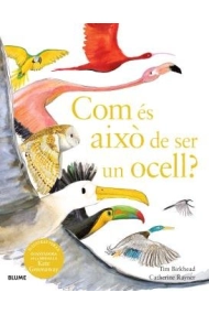 Cubierta de Com és això de ser un ocell?