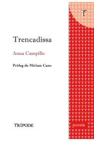 Cubierta de Trencadissa