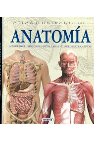 Coberta de Anatomía
