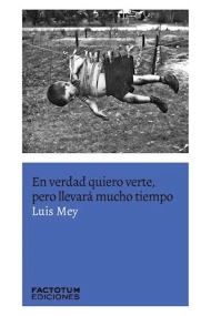 Cubierta de En verdad quiero verte pero llevara mucho tiempo