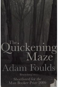 Cover von Quickening Maze