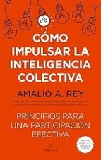 Cubierta de Cómo impulsar la inteligencia colectiva. Principios para una participación efectiva