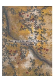 Cover of Una grieta en la tierra