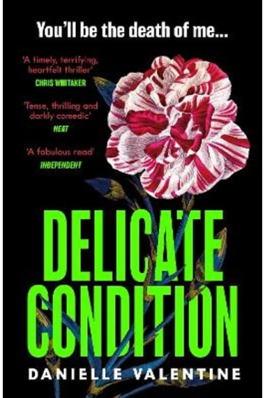 Cubierta de Delicate Condition — Danielle Valentine