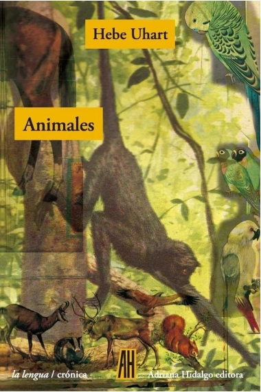 Coberta de ANIMALES — Hebe Uhart