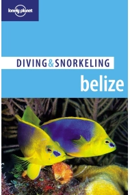 Cover von BELIZE 4, D&S