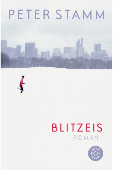 Cover von Blitzeis — Peter Stamm