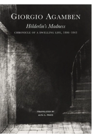 Cubierta de Holderlins Madness: Chronicle of a Dwelling Life, 18061843