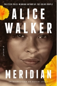 Coberta de Meridian: A Novel