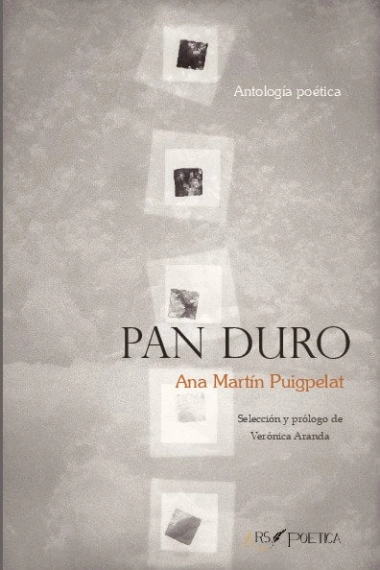Coberta de Pan duro — Ana Martín Puigpelat
