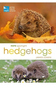 Coberta de RSPB Spotlight Hedgehogs