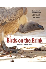 Cover of Birds on the Brink: South Africas threatened birds and those working to save them