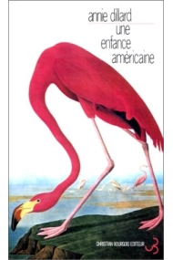 Cover von Une Enfance américaine
