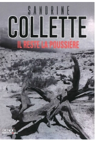 Cover of IL RESTE LA POUSSIERE