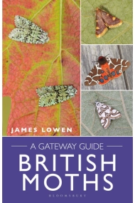 Coberta de British Moths: A Gateway Guide