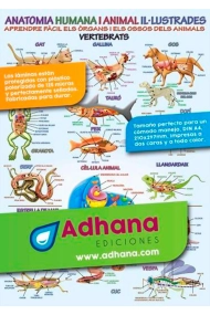 Cover von Anatomia humana i animal il·lustrada (làmina)