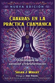 Coberta de Chakras en la práctica chamánica