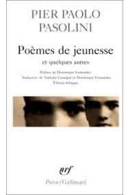 Cover of Poèmes de jeunesse et quelques autres