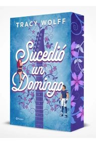 Cover of Sucedió un domingo